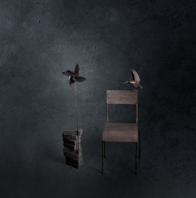闇の鳥　空の椅子 作： chenyi wang