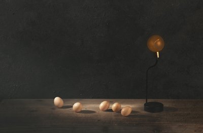 黄金のランプと卵 作： chenyi wang