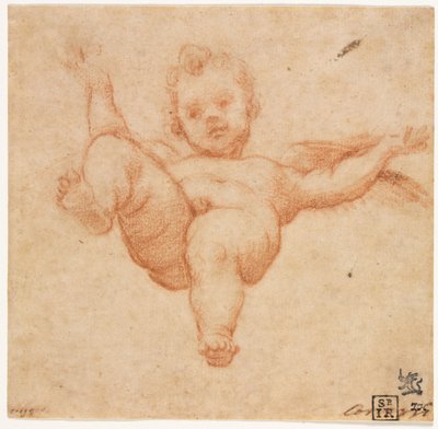 空飛ぶキューピッド 作： follower of Annibale Carracci