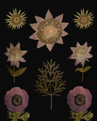  作： 