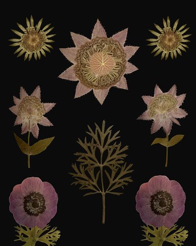  作： 