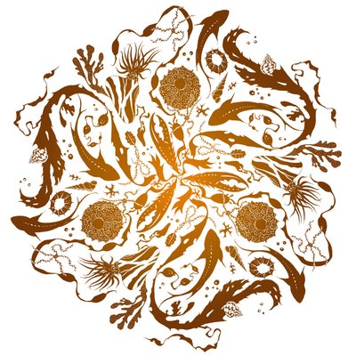 Mare marginis, 2018（スクリーンプリント） 作： julia McKenzie