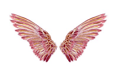 雀の喧嘩, 2016（スクリーンプリント） 作： julia McKenzie
