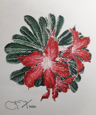 DESERT FLOWER 作： miguelmendez_art.ve