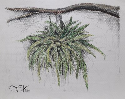 観賞用植物 - ヘレッチョ 作： miguelmendez_art.ve