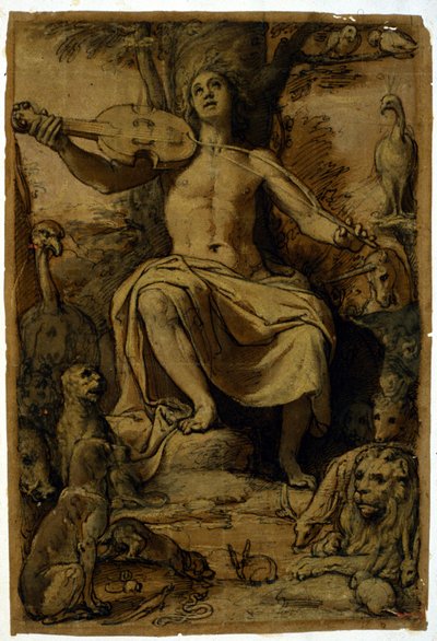 ヴァイオリンの音色で動物たちを魅了するオルフェウス。フェデリコ・ズッカーリ（1542-1609）のドローイング。 作： or Zuccaro Federico Zuccari