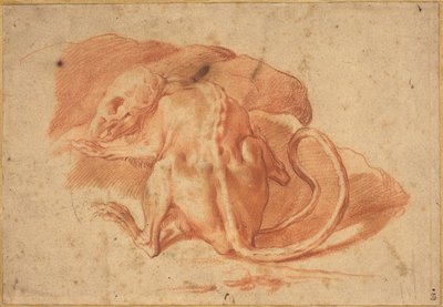 部分的に皮をむいたネズミ 作： possibly Florentine or Roman Italian 16th