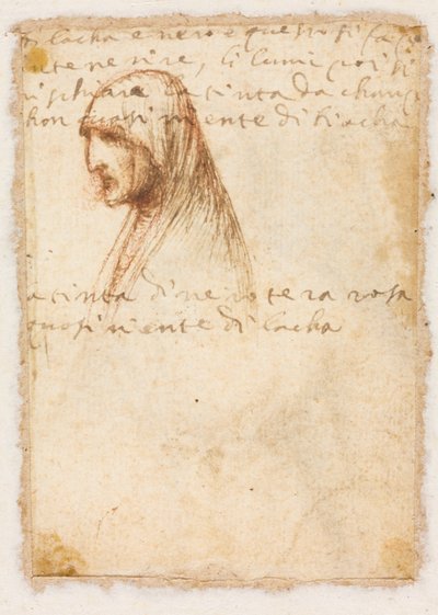 老婆のバストの長さのプロファイル (裏面) 作： possibly by Dosso Dossi