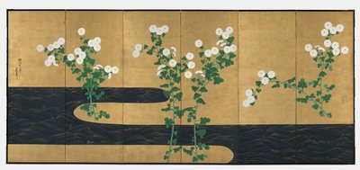 小川の菊 作： possibly by Ogata Kōrin