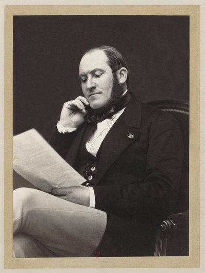 ジョルジュ・ウジェーヌ・オスマン男爵 (1809-1891)、パリ知事、ナポレオン 3 世のパリの都市計画家 作： stitch and restoration by Jebulon UnknownUnknown . Upload