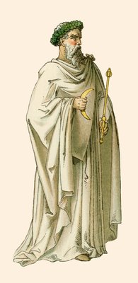 裁判官の衣装を着たドルイド