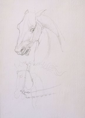 イクイノックス 馬の頭部 鉛筆画 イクイノックス 馬の頭部 鉛筆画