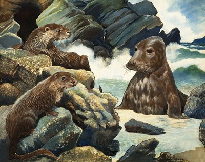 カワウソとセイウチ 作 英語学校