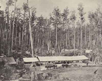 チャイルダーズ製材所 ギップスラ