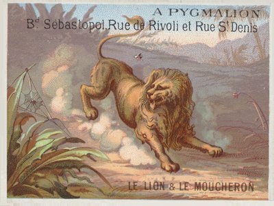 ライオンとブヨ フランス語学校