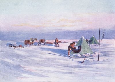 キャンプの組織化 アーネストシャ