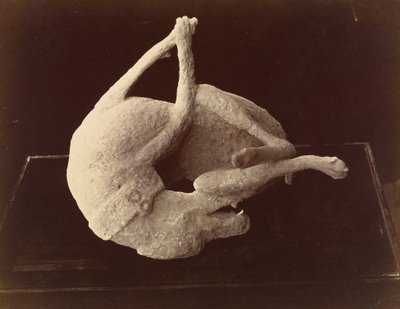 ポンペイのヴェスヴィオ山の噴火