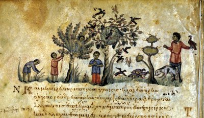 正規品販売！ Greek_School_- アート・デザイン・音楽