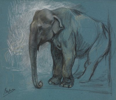 ゾウの歯医者　絵画 象の研究。 | アートプリント