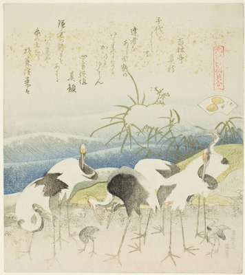 「元禄歌仙貝合わせ」シリーズより 葦貝（あしがい）の挿絵 岸辺の鶴