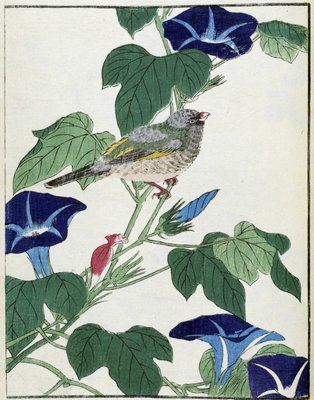 日本画 鳥の絵 伊藤若冲 竹内栖鳳 川合玉堂 日本の巨匠たちが描く「鳥」たち