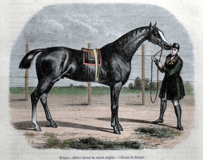 イギリスの競走馬エクリプス。イラストはRouyer。