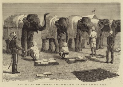 アフガン戦争の終焉 メスの象 サ