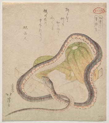 瓢箪に絡んだ蛇 | 魚屋北渓