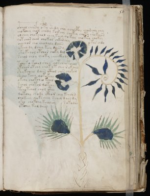 ヴォイニッチ手稿 THE VOYNICH MANUSCRIPT 奇書 未解読文字 | 歴史T