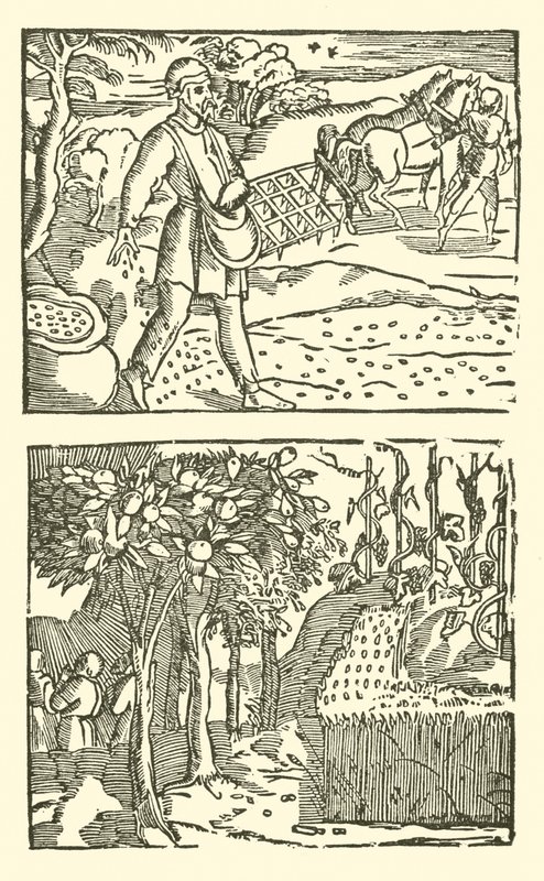 The Roxburghe Ballads』（木版画）の挿絵 作： （後）英語学校