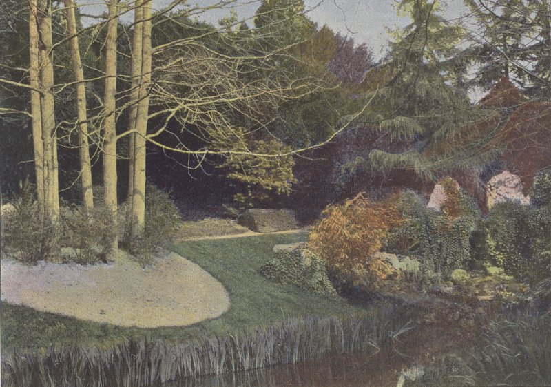 ナント、Jardin des Plantes（カラー写真 作： （後）フランスの写真家