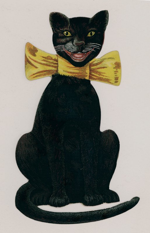 黄色い弓を身に着けている黒い猫 作： アメリカの学校