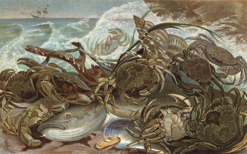 スクラッチ 作： ヨーロピアンスクール