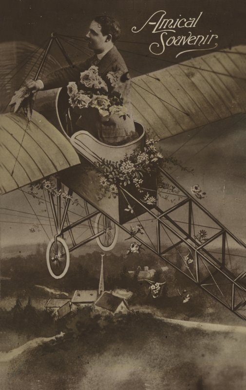 花でいっぱいの飛行機 作： フランスの写真家