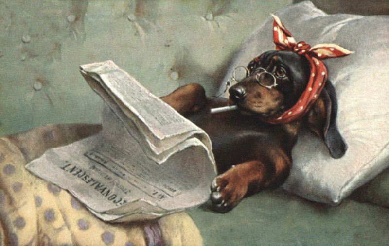 新聞を読んでいる犬 作： フランス語学校