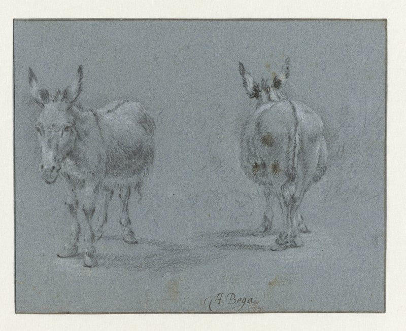 アート作品 『 burro 』　原画　現代アート　ロバ Abraham_Jansz_Begeyn_-