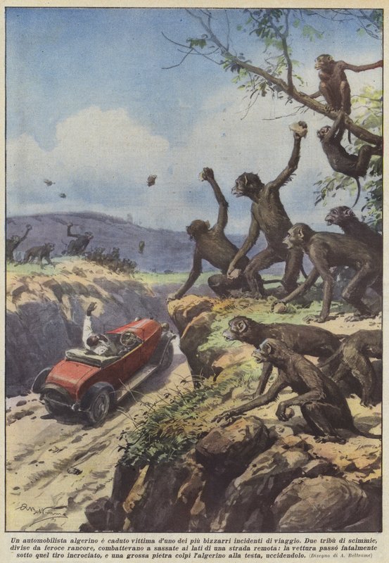 アルジェリアの運転手が最も奇妙な旅行事故の1つに犠牲になりました 作： アキレ・ベルトラーメ