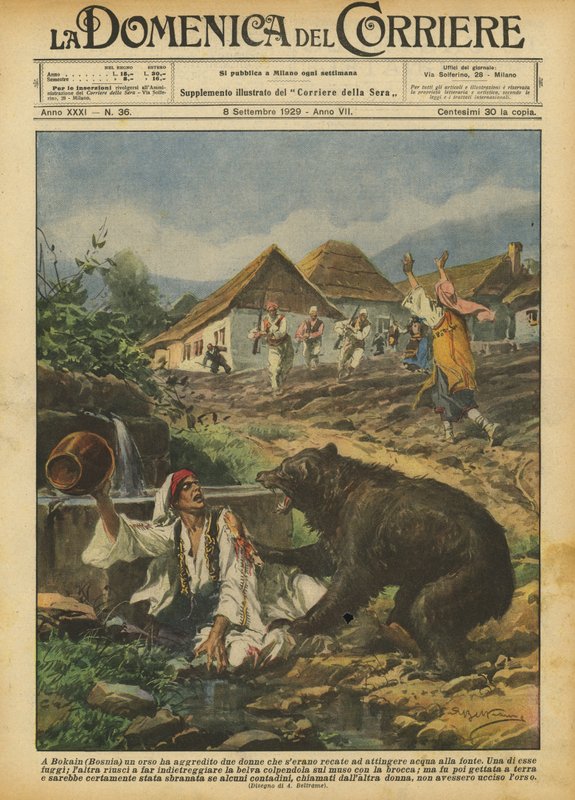 ボカイン（ボスニア）で、クマが春から水を汲みに行った2人の女性を襲った 作： アキレ・ベルトラーメ