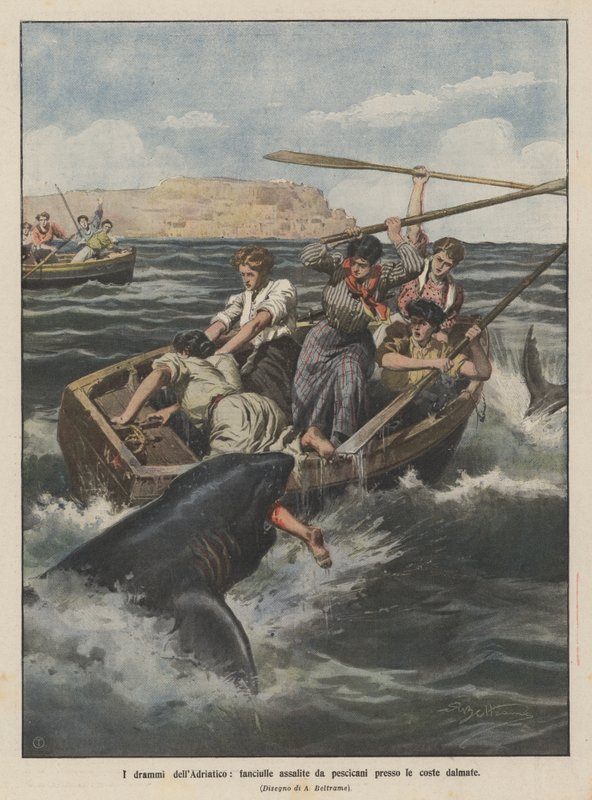 ダルマチアの海岸近くのサメに襲われたアドリア海の乙女のドラマ