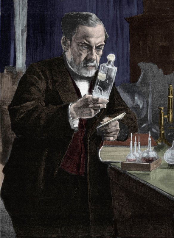 Albert_Gustaf_Aristides_Edelfe