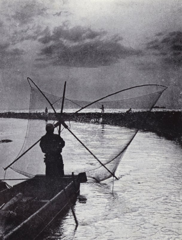 網を引く日本の漁師（モノクロ写真 作： アメリカの写真家（後）
