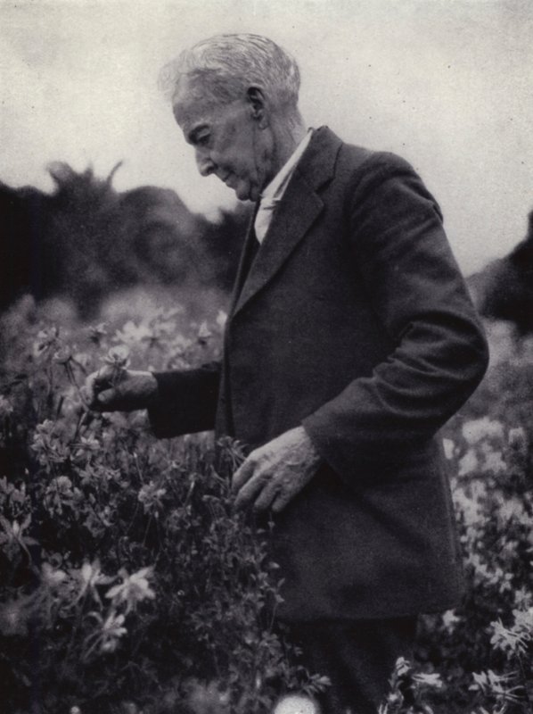 花を愛でるルーサー・バーバンク（モノクロ写真 作： アメリカの写真家（後）