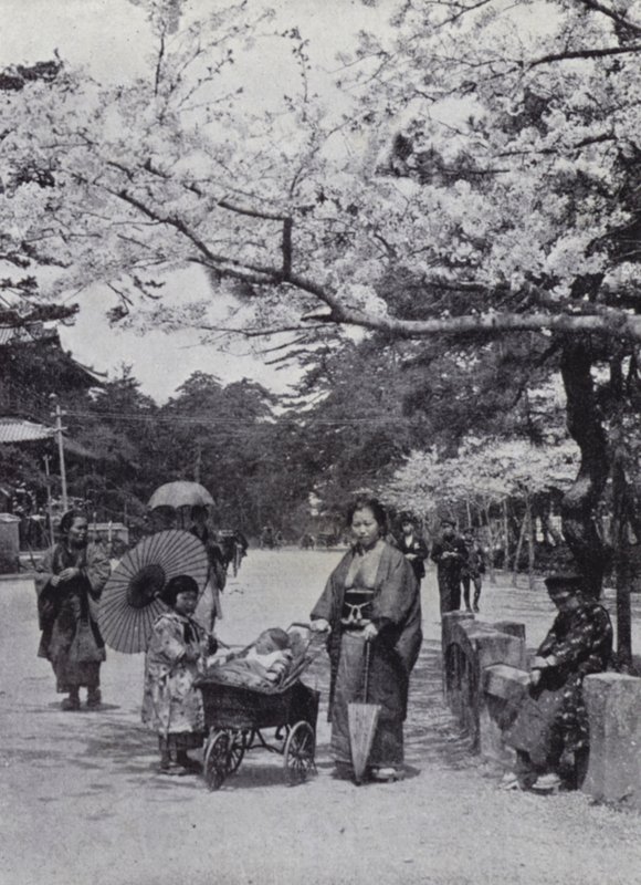 東京・芝公園の桜の下で（モノクロ写真 作： アメリカの写真家（後）