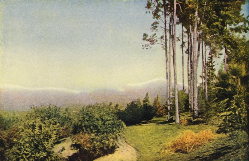 レッドランズ近郊の南カリフォルニアの風景（カラー写真） 作： アメリカの写真家
