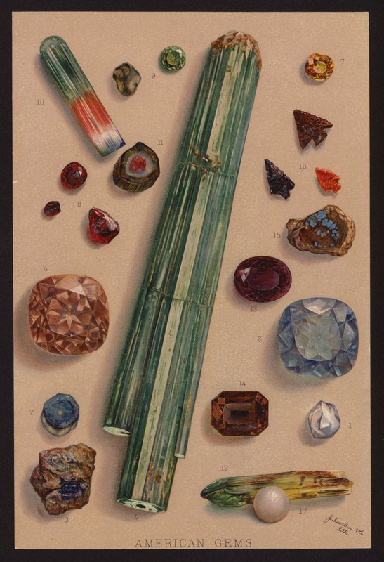 アメリカの宝石（カラーリトグラフ） 作： アメリカの学校