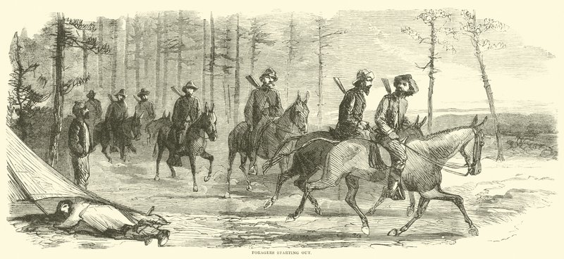 1865年3月、採餌を開始 作： アメリカの学校