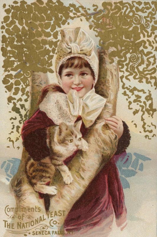 ツリーで猫を抱きしめる少女 作： アメリカの学校