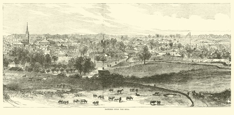 1862年5月、丘の上のナチェズ 作： アメリカの学校