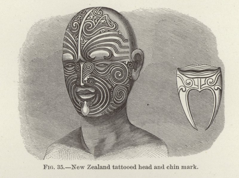 ニュージーランドの刺青の頭とあごのマーク 作： アメリカの学校