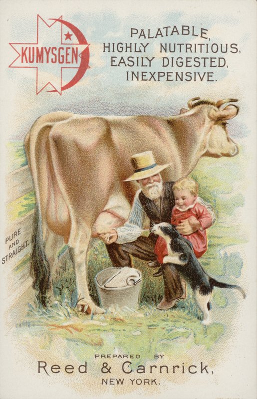 老人は子供と猫と一緒に牛の乳搾り 作： アメリカの学校
